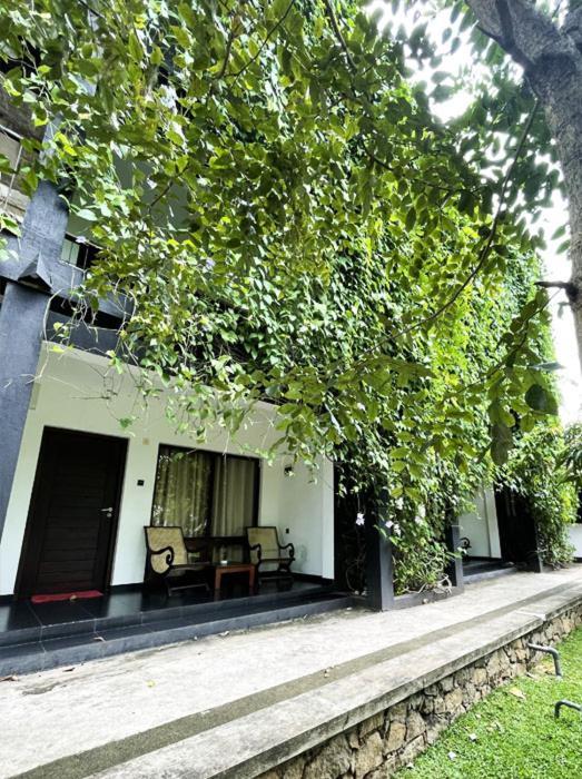 Dambulla Rock Arch Bed & Breakfast Dış mekan fotoğraf