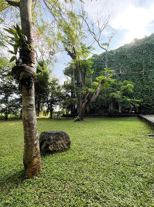 Dambulla Rock Arch Bed & Breakfast Dış mekan fotoğraf